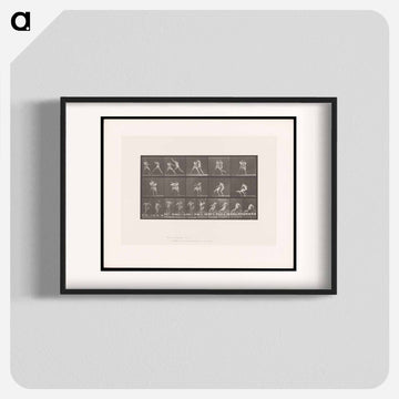 Wrestling Men
 - エドワード マイブリッジ Poster.