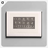 アートパネル-Wrestling Men
 - エドワード マイブリッジ Canvas.