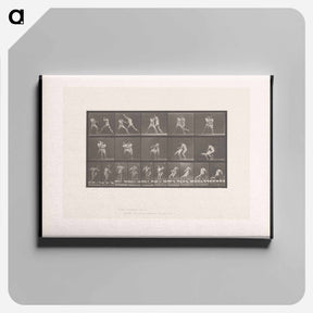 アートパネル-Wrestling Men
 - エドワード マイブリッジ Canvas.