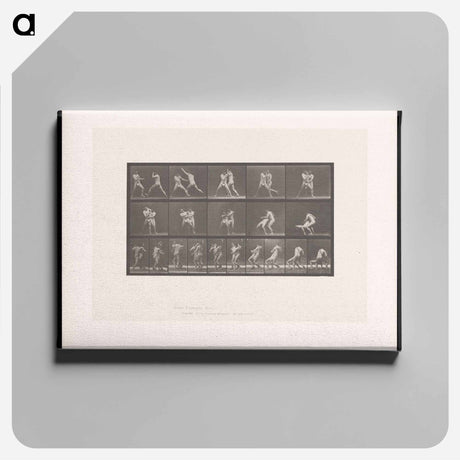 アートパネル-Wrestling Men
 - エドワード マイブリッジ Canvas.