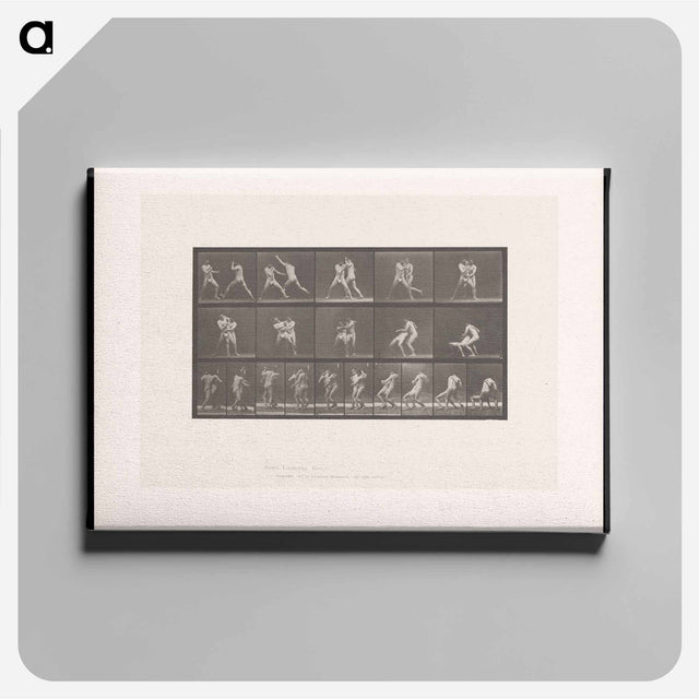 アートパネル-Wrestling Men
 - エドワード マイブリッジ Canvas.