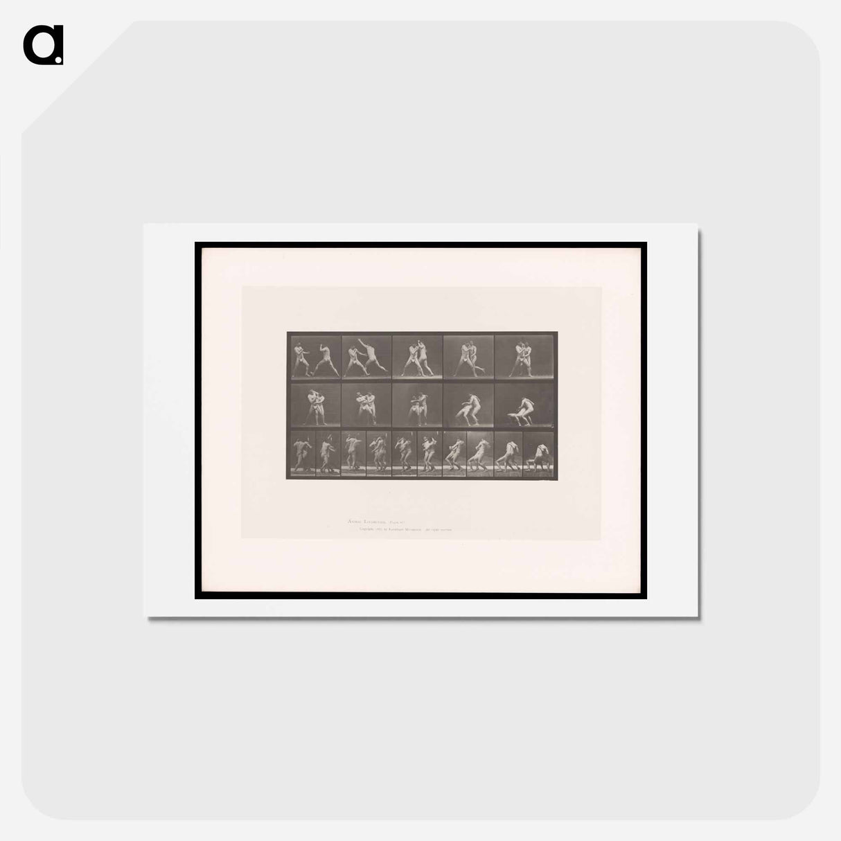 アートポストカード-Wrestling Men
 - エドワード マイブリッジ Postcard.