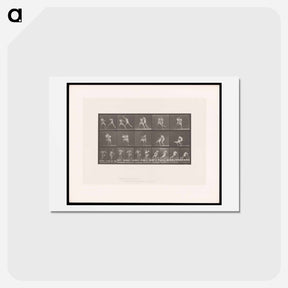 アートポストカード-Wrestling Men
 - エドワード マイブリッジ Postcard.