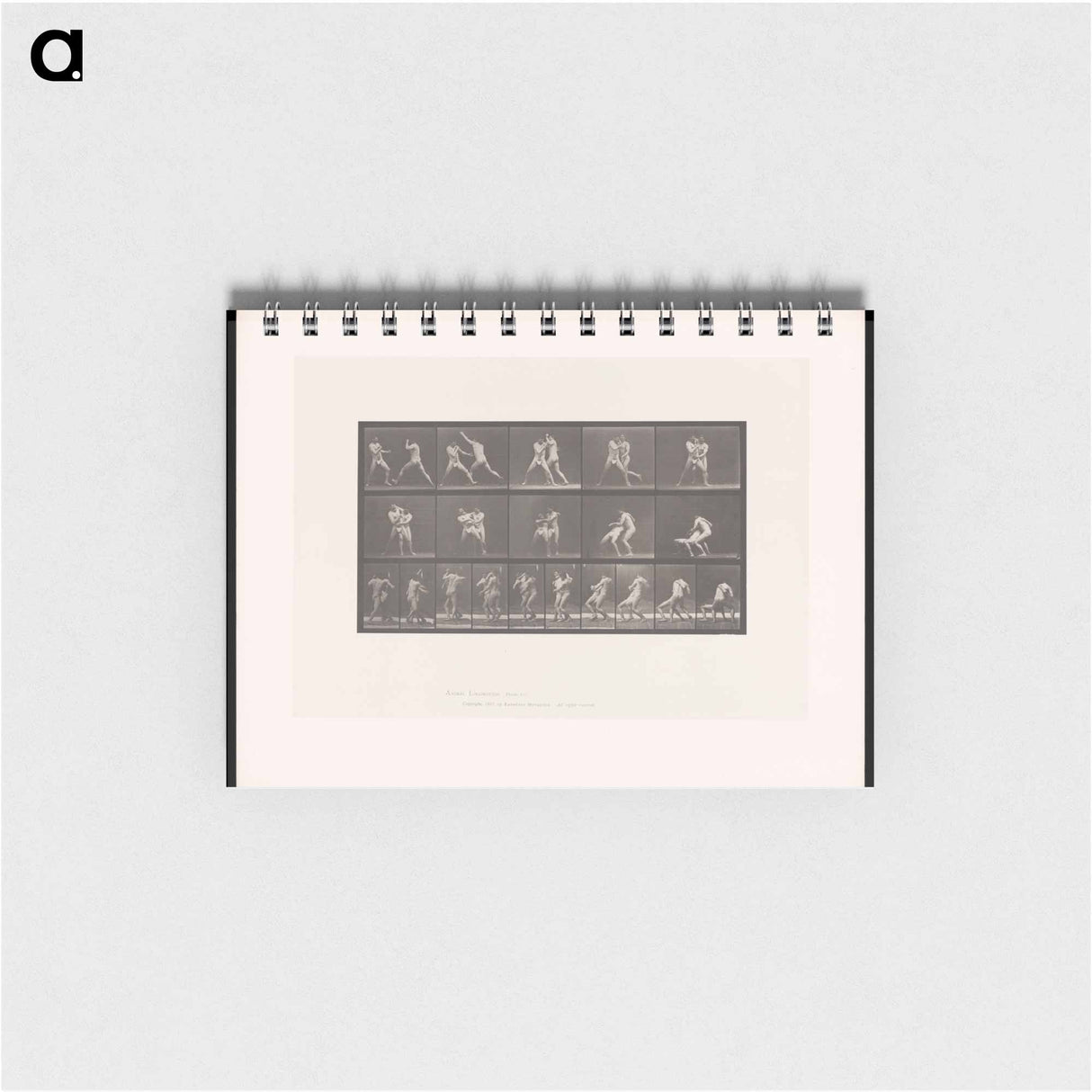 アートメモ帳-Wrestling Men
 - エドワード マイブリッジ Memo.