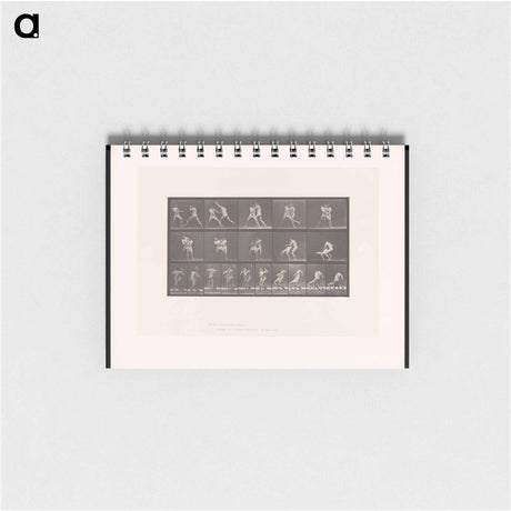 アートメモ帳-Wrestling Men
 - エドワード マイブリッジ Memo.