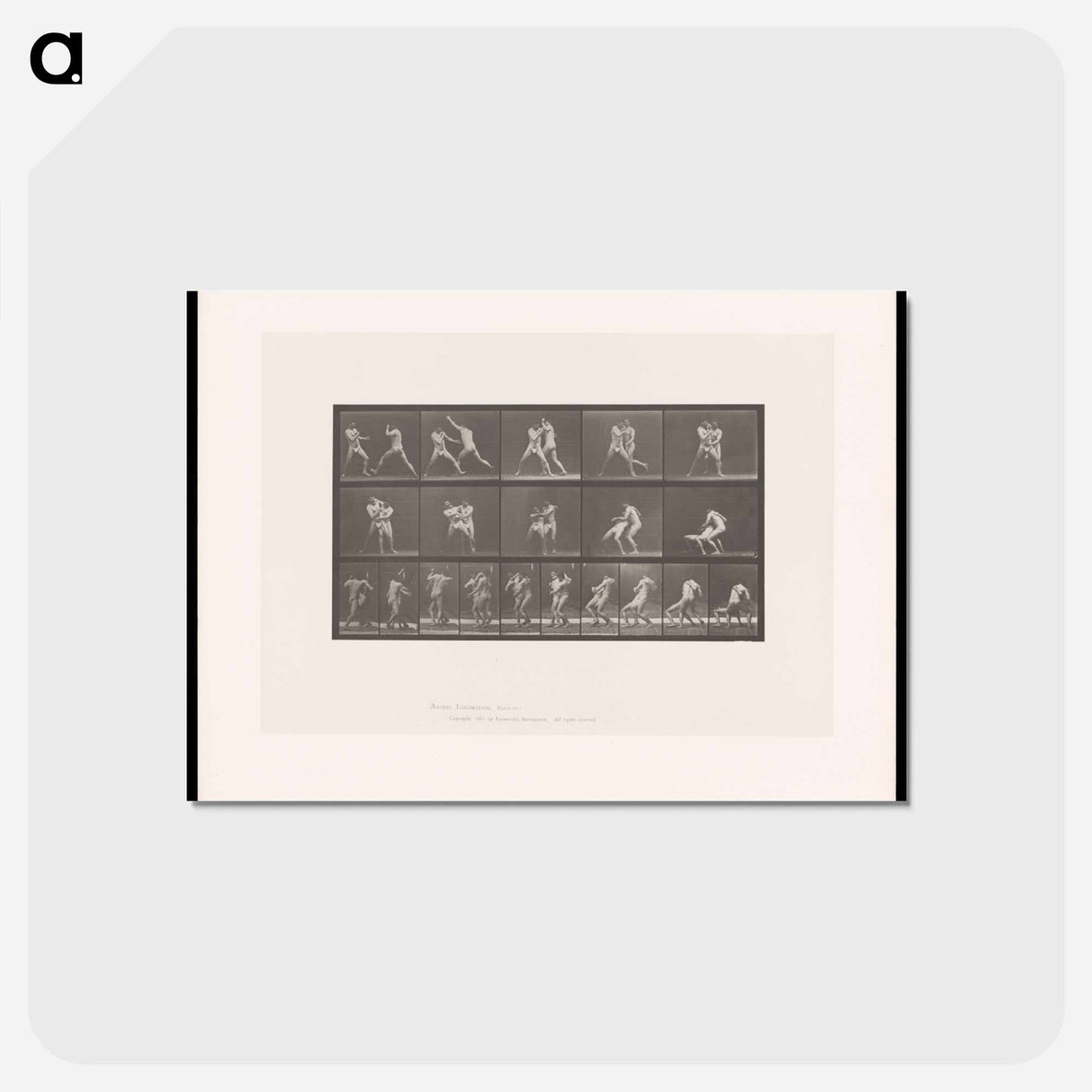 アートポストカード-Wrestling Men
 - エドワード マイブリッジ Postcard.