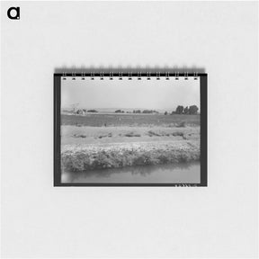 アートメモ帳-Washington, Yakima Valley, near Wapato - ドロテア ラング Memo.