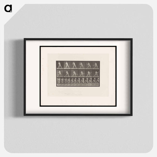 Baseball Player
 - エドワード マイブリッジ Poster.