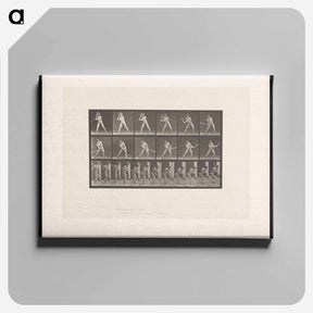 アートパネル-Baseball Player
 - エドワード マイブリッジ Canvas.