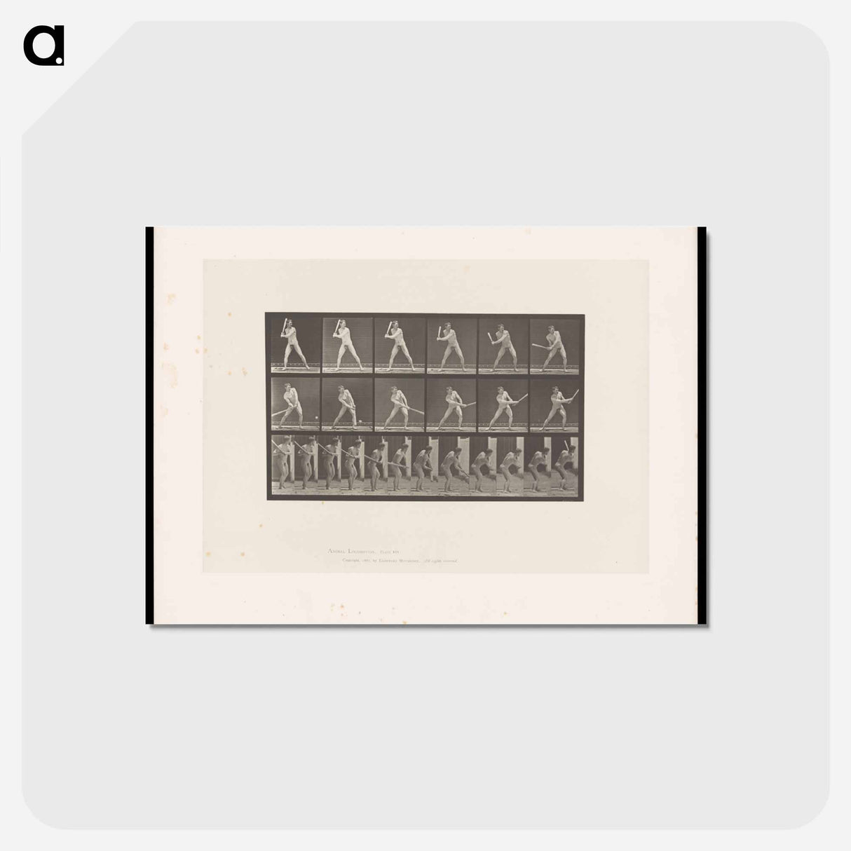 アートポストカード-Baseball Player
 - エドワード マイブリッジ Postcard.