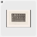 アートポストカード-Baseball Player
 - エドワード マイブリッジ Postcard.