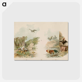 アートポストカード-Double Chickens
 - ボストン公共図書館 Postcard.