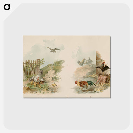 アートポストカード-Double Chickens
 - ボストン公共図書館 Postcard.