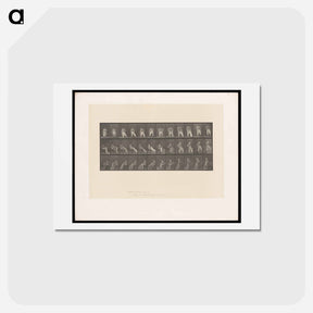 アートポストカード-Putting on Bloomers
 - エドワード マイブリッジ Postcard.