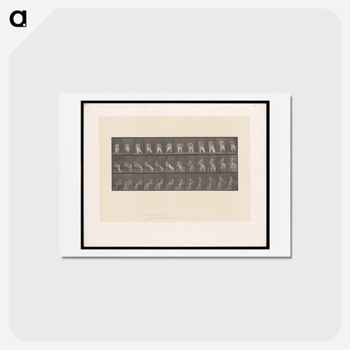 Putting on Bloomers
 - エドワード マイブリッジ Postcard.