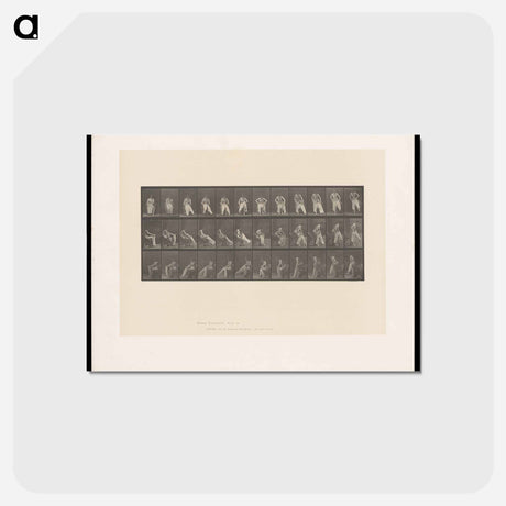 アートポストカード-Putting on Bloomers
 - エドワード マイブリッジ Postcard.