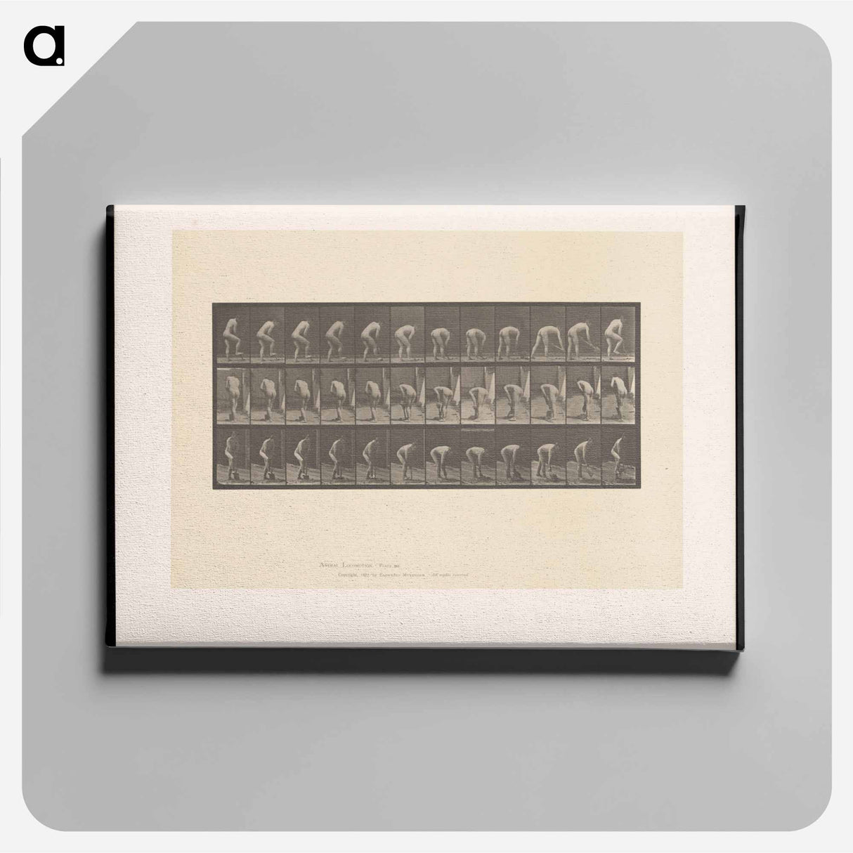 アートパネル-The Spademan
 - エドワード マイブリッジ Canvas.