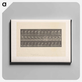 アートパネル-The Spademan
 - エドワード マイブリッジ Canvas.