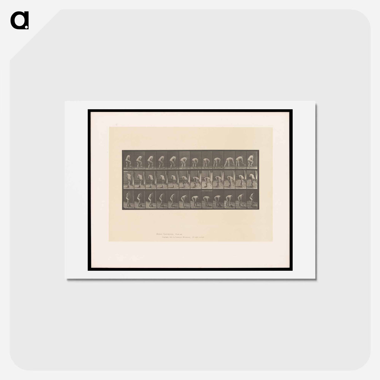 アートポストカード-The Spademan
 - エドワード マイブリッジ Postcard.