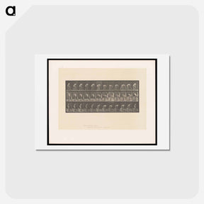 アートポストカード-The Spademan
 - エドワード マイブリッジ Postcard.