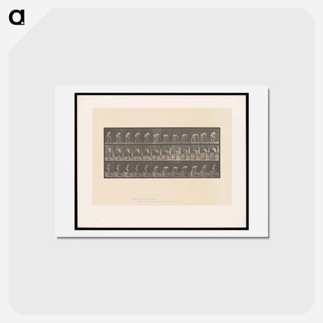 アートポストカード-The Spademan
 - エドワード マイブリッジ Postcard.