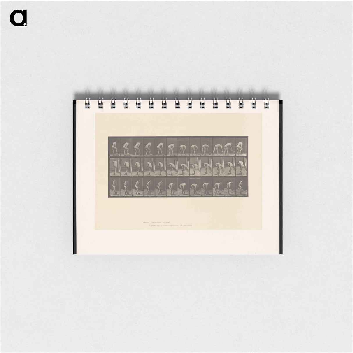 アートメモ帳-The Spademan
 - エドワード マイブリッジ Memo.