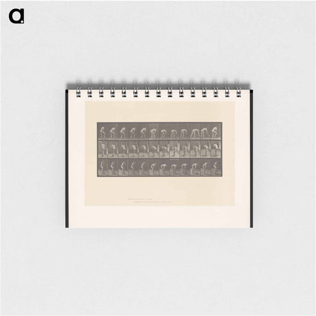 アートメモ帳-The Spademan
 - エドワード マイブリッジ Memo.