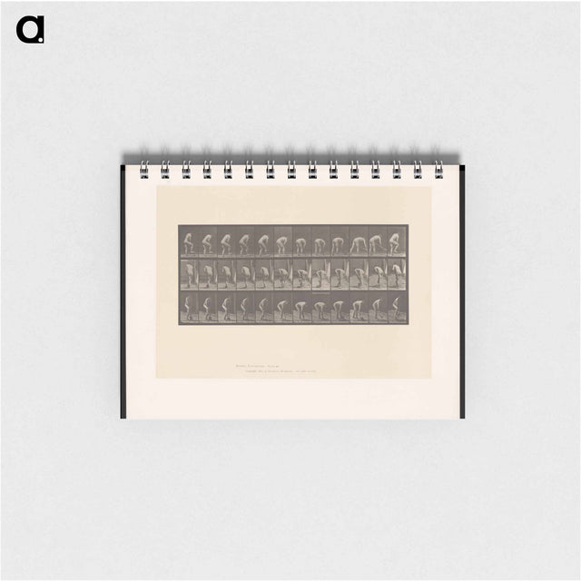 アートメモ帳-The Spademan
 - エドワード マイブリッジ Memo.