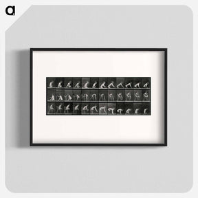 アートポスター-Double Amputee in Motion
 - エドワード マイブリッジ Poster.