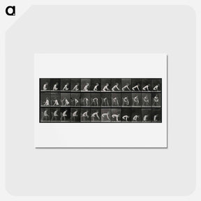 アートポストカード-Double Amputee in Motion
 - エドワード マイブリッジ Postcard.