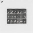 アートメモ帳-Double Amputee in Motion
 - エドワード マイブリッジ Memo.
