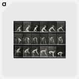 アートポストカード-Double Amputee in Motion
 - エドワード マイブリッジ Postcard.