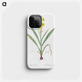 Wachendorfia thyrsiflora - Pierre Joseph Redouté Phone Case.