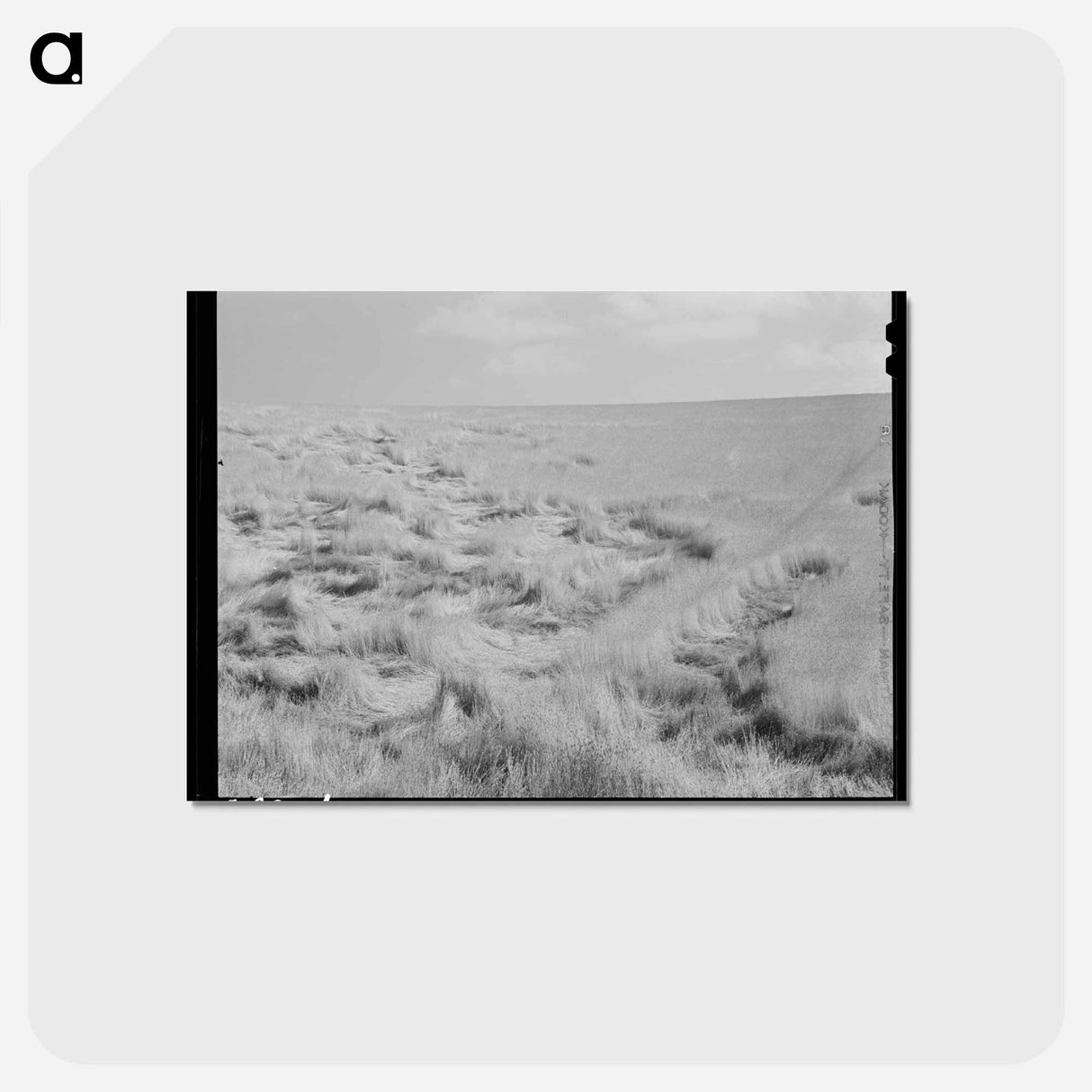 アートポストカード-Lodged Wheat
 - ラッセル リー Postcard.