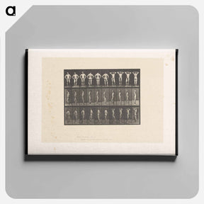 アートパネル-Naked Man Clasped
 - エドワード マイブリッジ Canvas.