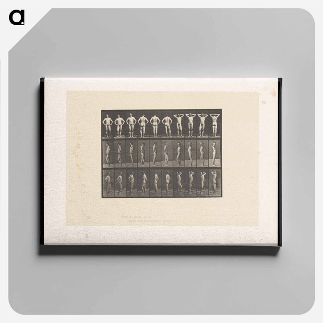 アートパネル-Naked Man Clasped
 - エドワード マイブリッジ Canvas.