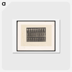 アートポストカード-Naked Man Clasped
 - エドワード マイブリッジ Postcard.