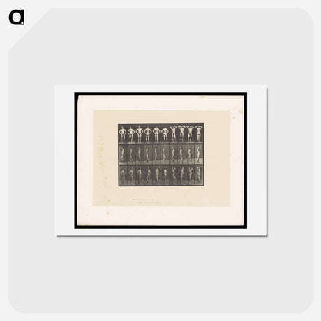 アートポストカード-Naked Man Clasped
 - エドワード マイブリッジ Postcard.