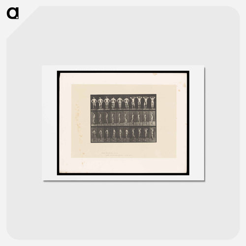 Naked Man Clasped
 - エドワード マイブリッジ Postcard.