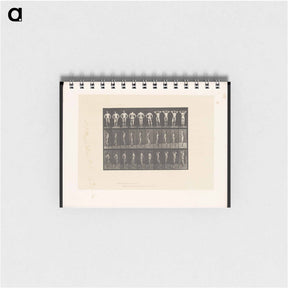 アートメモ帳-Naked Man Clasped
 - エドワード マイブリッジ Memo.