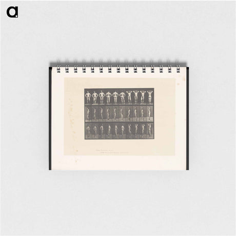 アートメモ帳-Naked Man Clasped
 - エドワード マイブリッジ Memo.