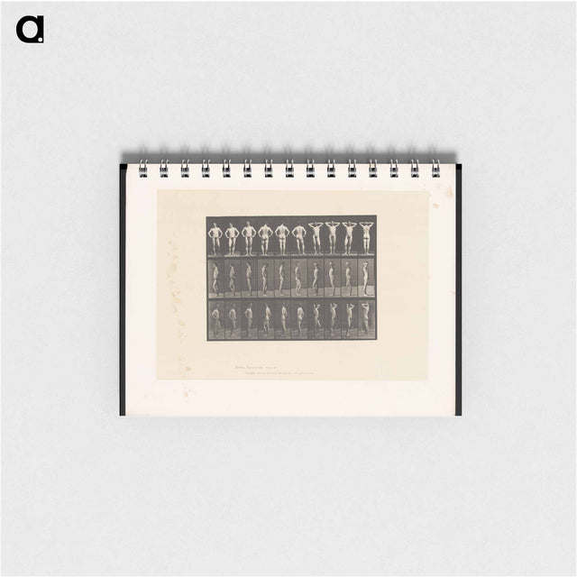 アートメモ帳-Naked Man Clasped
 - エドワード マイブリッジ Memo.