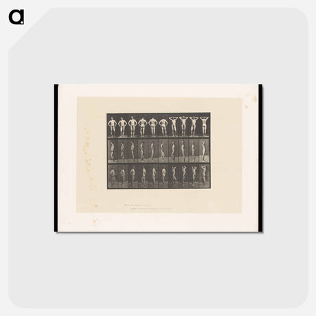 アートポストカード-Naked Man Clasped
 - エドワード マイブリッジ Postcard.