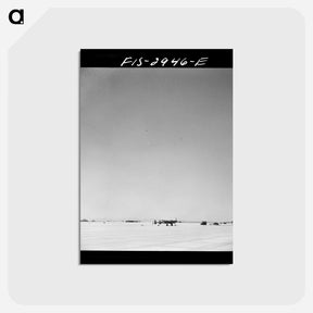 アートポストカード-Buzzing the Field
 - ラッセル リー Postcard.