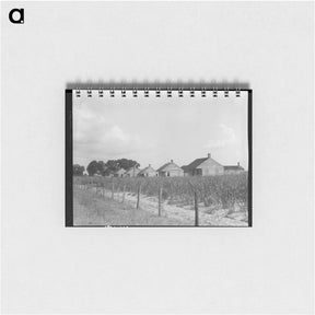 アートメモ帳-Cabins for sugarcane workers - ドロテア ラング Memo.