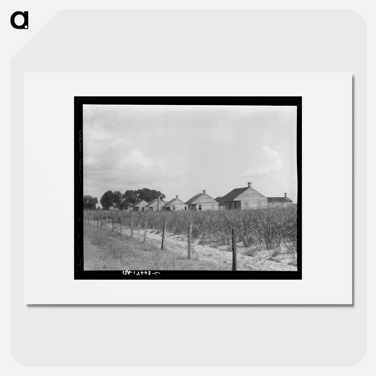 Cabins for sugarcane workers - Dorothea Lange Poster.