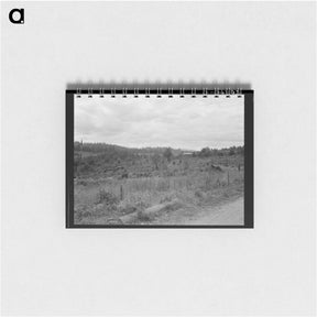 アートメモ帳-Michigan Hill - ドロテア ラング Memo.