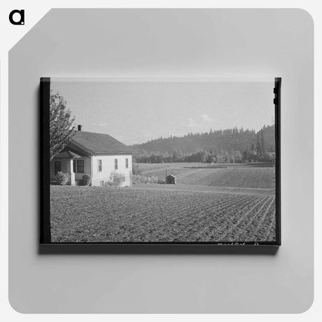 アートパネル-Pitching Straw
 - ラッセル リー Canvas.