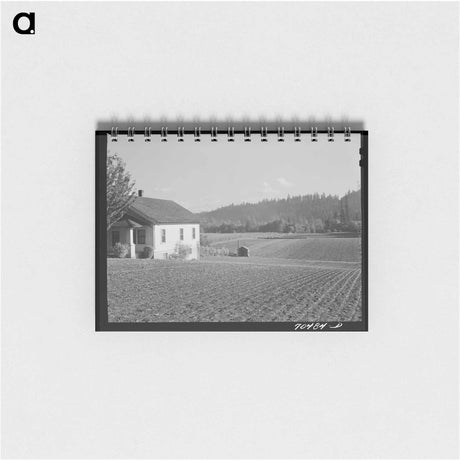 アートメモ帳-Pitching Straw
 - ラッセル リー Memo.
