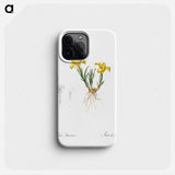 Sand iris illustration - Pierre Joseph Redouté Phone Case.